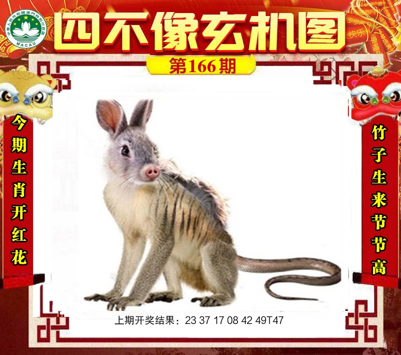 图片更新中......